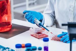 نیاز جدی بازار سلول‌درمانی کشور به محصولات مجاز