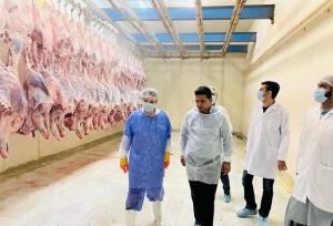 معدوم سازی ۲۶۰۰ کیلوگرم فرآورده غیرقابل مصرف در چابهار