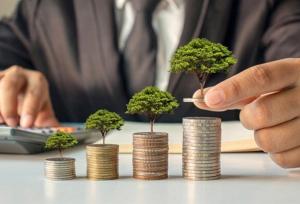 شرط موفقیت طرح رویش وزارت اقتصاد اعتمادسازی است