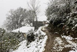 بارش برف در روستای اره چاک اشکور