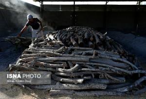 مسئول نمایندگی محیط‌زیست شهرستان: واحد تولید ذغال در درگزین تعطیل شد