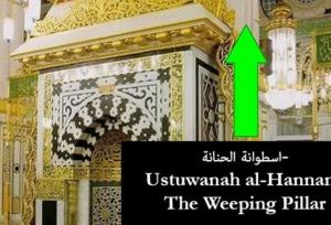 "حنانه"؛ درختی که در فراق پیامبر شیون کرد