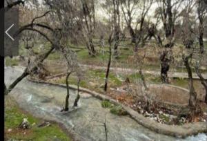 ثبت چشمه «قدمگاه» فارس به عنوان اثر طبیعی ملی