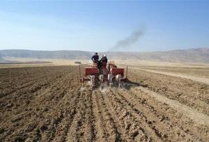 خاک ستون امنیت غذایی؛ آینده کشاورزی کرمانشاه بر شانه‌های خاک