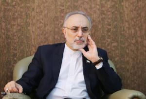 صالحی: نامه اخیر آمریکا به ایران مغشوش است