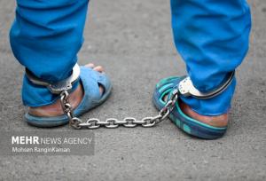 سارق مشاعات ساختمانی در شیراز دستگیر شد