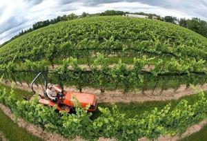 الگوی کشت لحظه‌ای رصد می‌شود