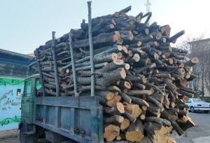 توقیف یک دستگاه کامیونت حامل ۴تن هیزم جنگلی در اردبیل