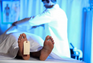 کار عجیب یک استارتاپ آمریکایی برای بقایای اجساد