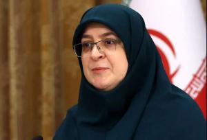 دولت مصمم به بازگشت اتباع غیرمجاز است
