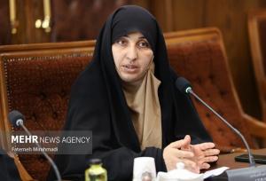 طالبی: در حل مسائل زنان و خانواده قانون و فرهنگ باید با هم پیش برود