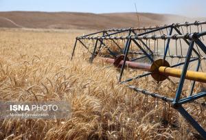 کشاورزی حفاظتی، راهی برای مقابله با تغییرات اقلیمی و حفظ امنیت غذایی در زنجان