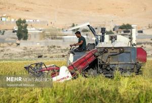 جوابیه پخش به ادعای وزارت جهاد در خصوص تامین سوخت ماشین آلات کشاورزی