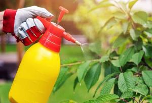 آفت‌کش‌ها میکروب‌های مفید روده‌ را به خطر می‌اندازند