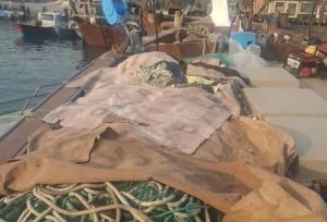 شناور صیادی متخلف در آب های استان بوشهر توقیف شد