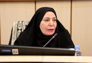 خامسی: بودجه گردشگری شهر یزد  ۷ برابر شد