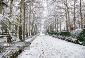 رحمان نیا: بارش برف استان زنجان را فرا می گیرد