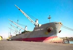 واردات ۶۶ هزار تن گندم از طریق بندر شهید رجایی بندرعباس