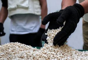 پلیس هشدار داد: افزایش نگران‌کننده کشف قرص روان‌گردان در بوشهر