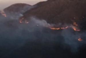 بیش از ۱۰۰ هکتار از جنگل‌های دیزمار در آتش‌سوزی از بین رفت