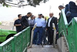 ساماندهی‌ سه بوستان بزرگ منطقه یک در دستور کار قرار گرفت