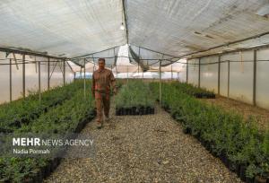 تخصیص بیش از  ۷ میلیارد تومان اعتبار برای پروژه‌های آب‌رسانی در باشت