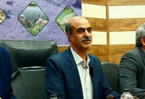 ارتزاق بیش از ۳۸۰۰ خانواده در هیرمند از طریق کوله‌بری قانونی