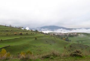 کرمی: کلید رفع محرومیت های استان ایلام در دانشگاه ها است