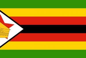 سفیر زیمبابوه: روابط سیاسی ایران و زیمبابوه باید به همکاری اقتصادی پایدار تبدیل شود