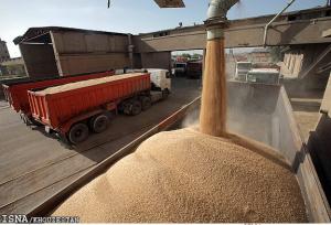 پهلودهی کشتی حامل بیش از ۶۴ هزار تن گندم در بندر امام (ره)