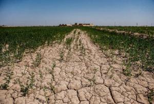 تغییر در شیوه‌های کشاورزی برای حفظ خاک و تأمین امنیت غذایی ضروری است