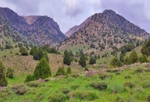 وجود ۶۰۰ گونه گیاهی و جانوری در سیزدهمین ذخیرگاه زیست کره