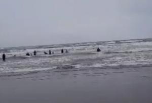 هشدار هواشناسی دریایی و اعلام وضعیت سطح نارنجی