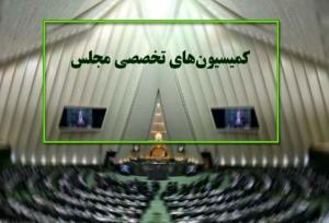 حضور ۵ وزیر در جلسات هفته جاری کمیسیون‌های مجلس