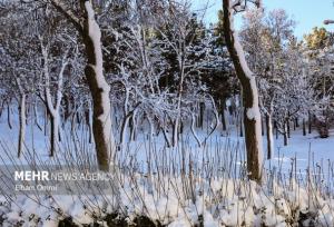 برف و یخبندان در مرکز دلفان