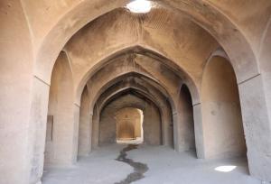 طلایی‌مقدم: میراث فرهنگی کلید توسعه اقتصادی و توزیع عادلانه درآمدهاست