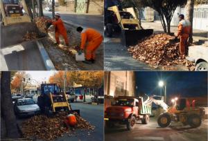 ۴ تن برگ درخت در گلپایگان جمع آوری شد