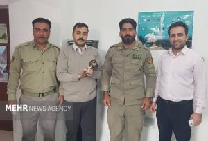 تحویل پرنده شکاری تحت حمایت به محیط زیست بوشهر