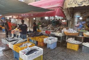 آغاز فاز جدید ساماندهی صنوف دروازه کازرون شیراز/ چگونگی فک پلمب مغازه‌ها اعلام شد
