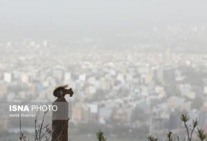 معاون آبخیزداری اداره کل منابع طبیعی استان: کانون گرد و غبار شمال گلستان در مسیر احیا است