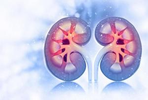 سلامت مغز با عملکرد کلیه‌ها مرتبط است