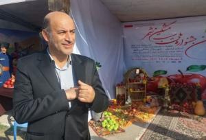 جباری: جشنواره سیب مشگین‌شهر با هدف توسعه گردشگری پایدار برگزار شد