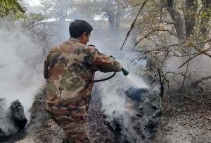 فرمانده یگان حفاظت: حریق‌های جنگلی کرمانشاه به‌شدت کاهش یافت