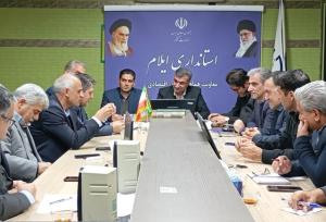 اجرای عرضه مستقیم ۱۷ قلم کالای اساسی در ایلام / حذف دلالان، کلید کاهش قیمت‌ها در بازار