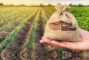 ضرورت افزایش اعتبارات صندوق بیمه کشاورزی و تأمین امنیت غذایی
