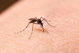 باند تخصصی درمان زخم سالک توسط محققان کاشانی تولید شد