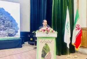 تلاش برای ثبت جهانی سرو ابرکوه