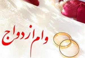 طرح «وام کالایی» نسخه نجات یا تغییر مسیر بحران؟