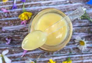 ژل رویال؛ مکمل طبیعی که می‌تواند به بهبود باروری مردان کمک کند