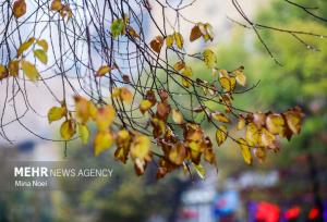 صابری: دمای هوای آذربایجان غربی کاهش می یابد؛ احتمال بارش باران و برف